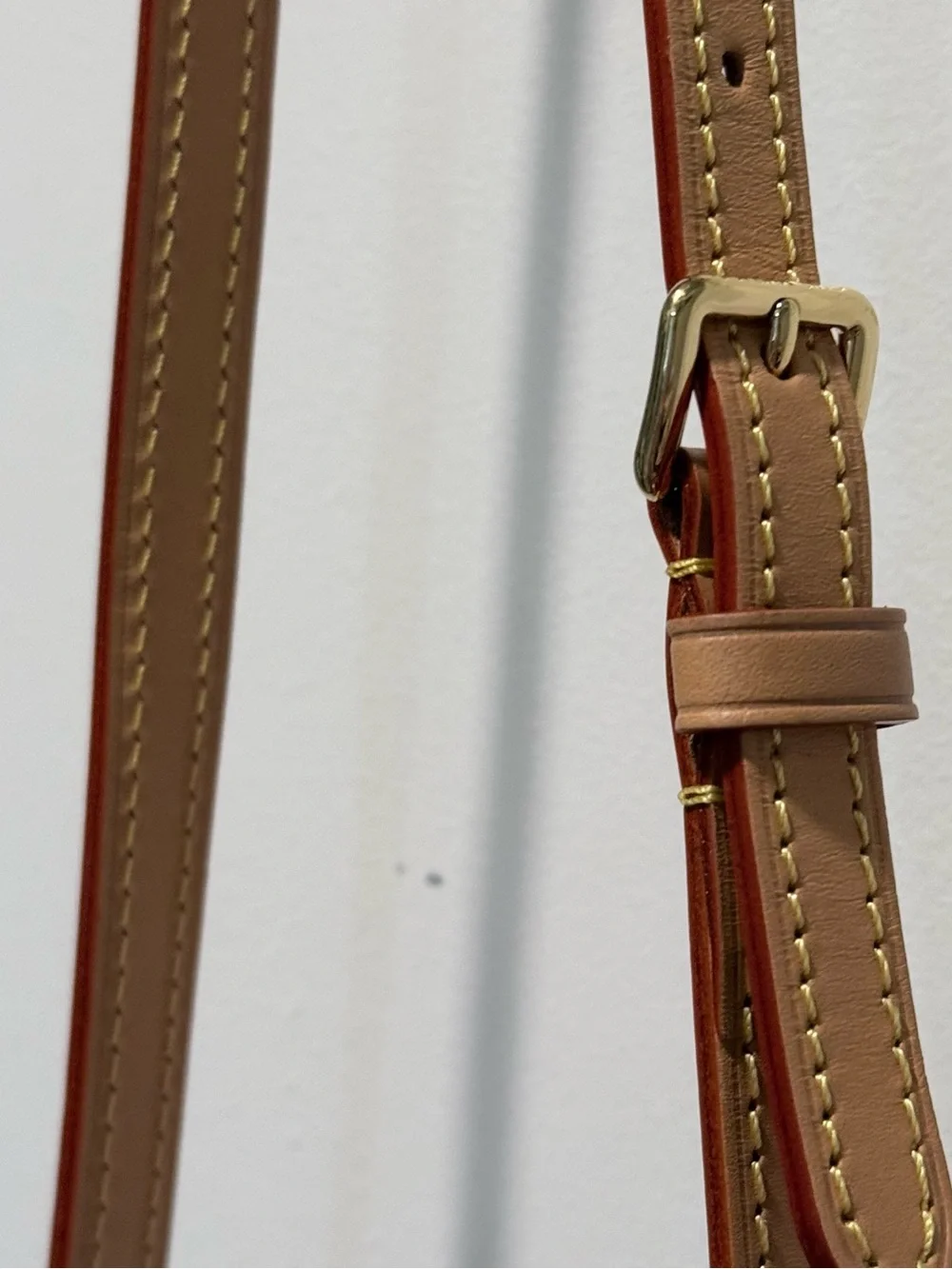Louis Vuitton Monogram Nano Noe Bucket Bag in Brown and Tan